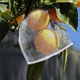 thumbnail image 2 of Bolsa protectora de malla de nailon, 50 Uds., para plantas, frutas, bolsa antiinsectos, 25*30cm (blanco), 2 of 8