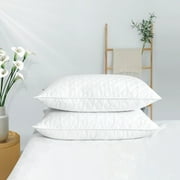St. James Home 2 Pack Firm Goose Down Feather Pillows for Side & Back Sleepers by White Quilted Cover
