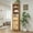 Yellow, variant on SONGMY Rattan Bathroom Cabinet, Farmhouse Storage Cabinet with Adjustable Shelves & Drawer, Tall Narrow Cabinet for Bathroom, Kitchen, Living Room, Brown