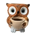 thumbnail image 2 of Cute Resin Succulent Pot Small Indoor Owl Shaped Planter Cute Cactus Flower Pots with Drainage for Office Desk and Home Garden Decor Brown, 2 of 9