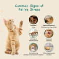 thumbnail image 5 of JIhuahe 12pcs Portable Cat Calming Diffuser, Travel Size Pheromone Spray for Cats, Feline Calming Support for Car Rides, Vet Visits & New Environments, No Plug Required, Reusable,a, 5 of 7