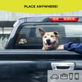 thumbnail image 5 of Auto Drive Colorful Pet Decals - 2 Pack, 5 of 7