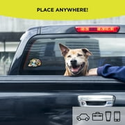 Auto Drive Colorful Pet Decals - 2 Pack
