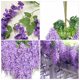 thumbnail image 3 of KALLORY 12Ud Wisteria Artificial De Seda Para Colgar En Pared Puerta O Con Apariencia Natural, 3 of 8