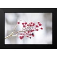 thumbnail image 2 of Bradley, Felicity 14x11 Black Modern Framed Museum Art Print Titled - Winter Berries I, 2 of 5