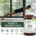 thumbnail image 3 of Natural Nutra Sea Kelp Iodine Supplement for Thyroid Support and Immune System - 250 Vegan Tablets, 3 of 6