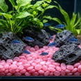 thumbnail image 6 of Lunxisen 1 Pcs Aquarium Street Side Pool Glow Decor, Ice Cube Night Light Stones for Backyard Patio Ambiance, 6 of 9