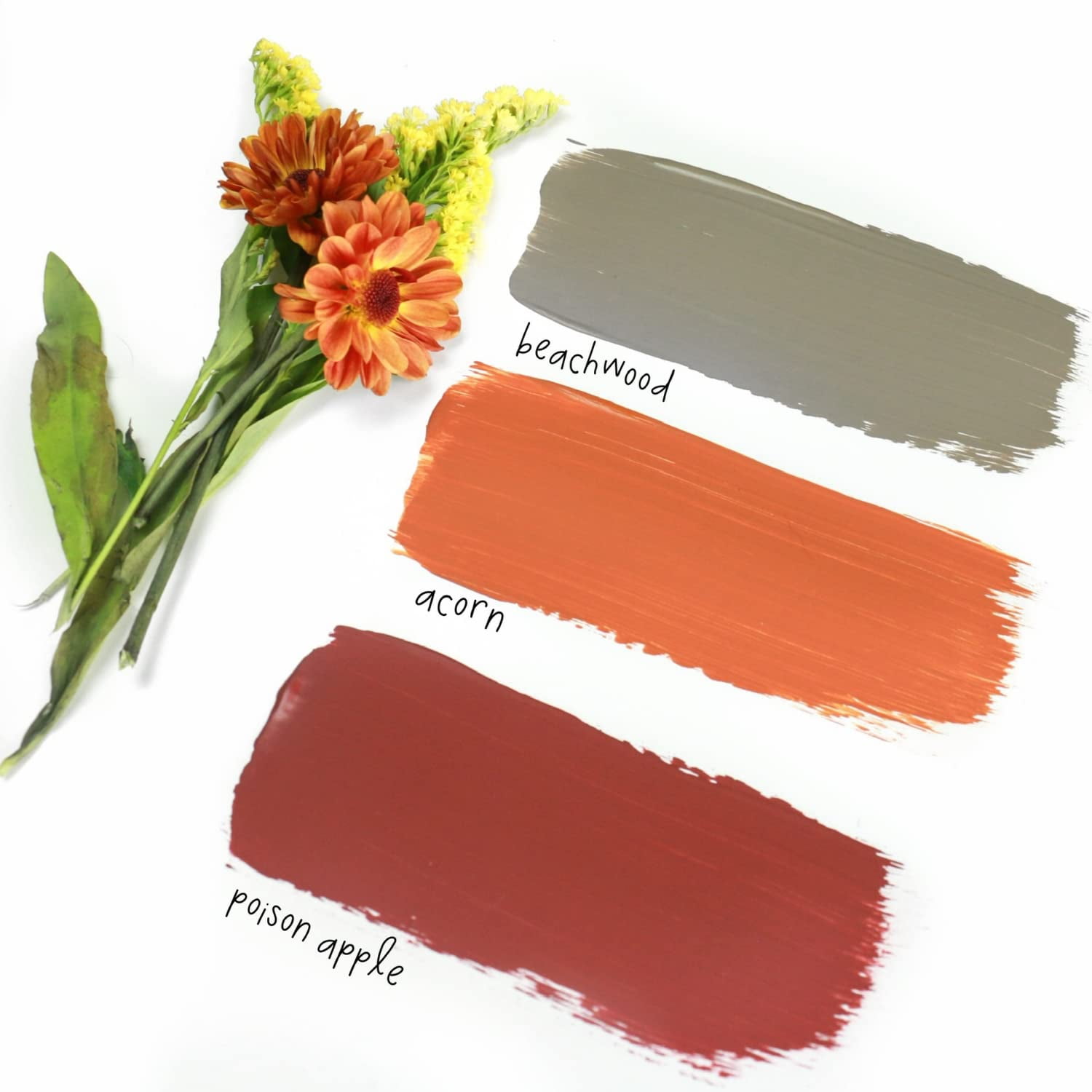 Chalky Chicks Premium Chalk Style Paint for Furniture, Home Decor & DIY Crafts – Eco Friendly – No Sanding, No Primer Needed – Multi Surface Paint – Acorn (Orange) – 16 oz – Made in the USA