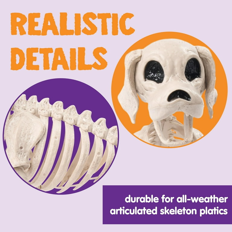 Decoratie Halloween Skelet Hond - 55cm Kopen