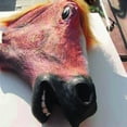 thumbnail image 4 of Tejiojio Horse Mask Prop Style Toys Party Halloween, 4 of 7
