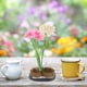 thumbnail image 5 of Herramienta de arreglo floral Kenzan con alfiler de aguja fijo con forma de sol y luna, 5 of 10