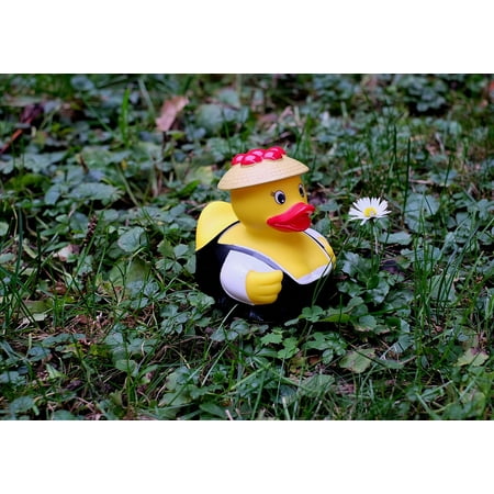 Canvas Print Rubber Duck Duck Black Forest Costume Funny Stretched Canvas 10 x 14