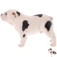 thumbnail image 3 of MLINS  Realistic Tiny Dogs Bulldog Decor Ornament Animal Child White, 3 of 8