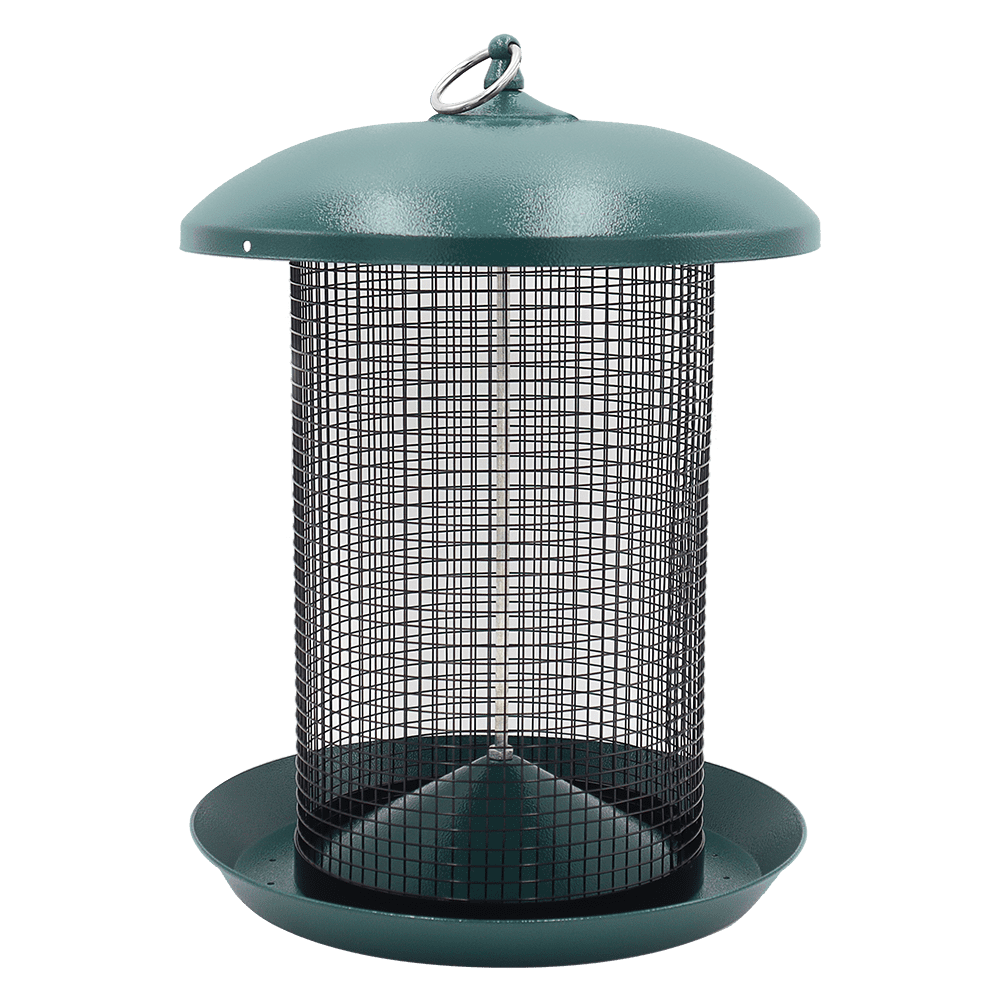 Zenport Z203010 Hanging Bird Seed Screen Feeder, Green