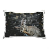 Stupell Industries Embarrassed Hare in Forest Decorative Printed Throw Pillow, 14 x 20