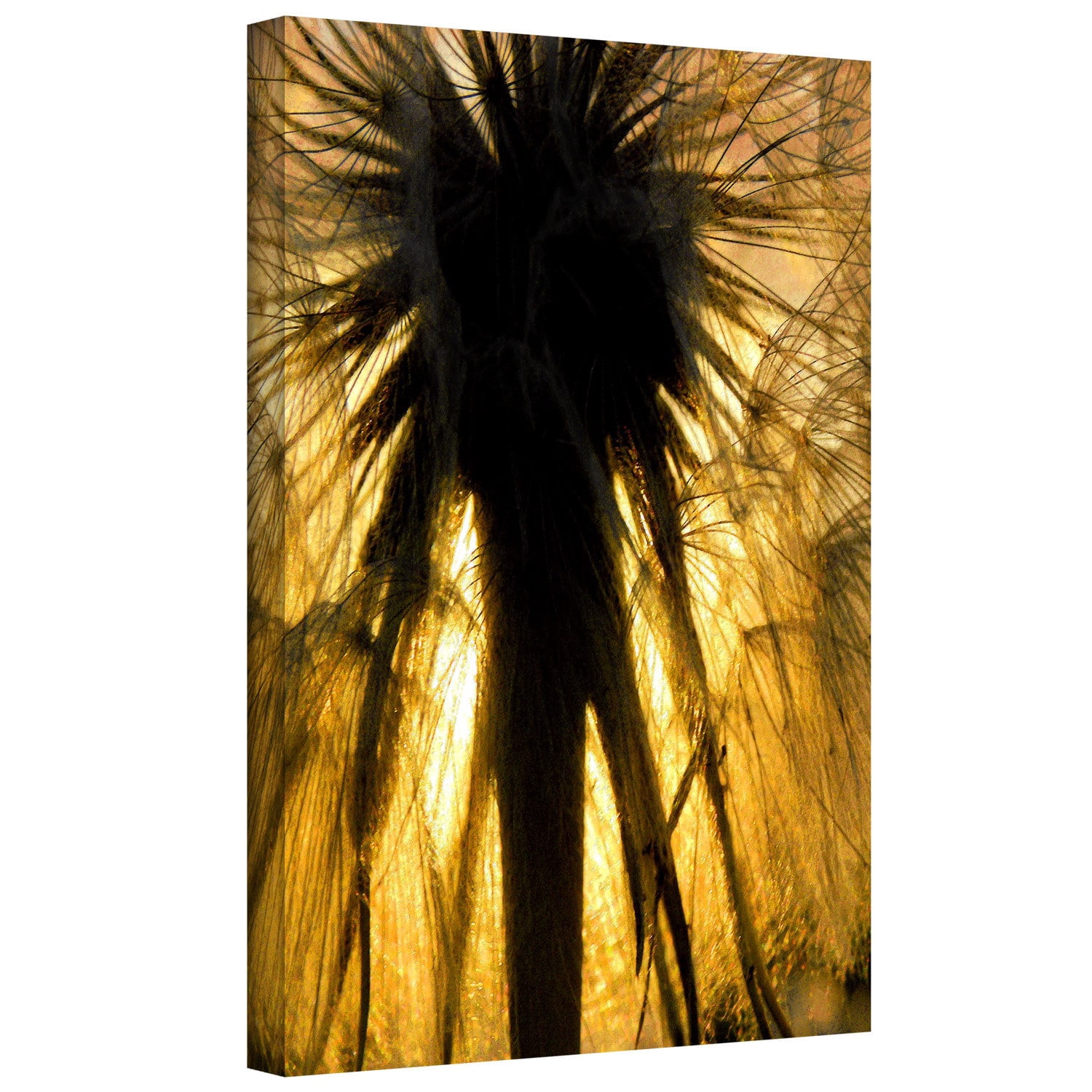 Dean Uhlinger "Heart Of A Lion-Dandelion" Gallery-Wrapped Canvas
