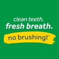 TropiClean Fresh Breath No Brushing Clean Teeth Dental & Oral Care Gel