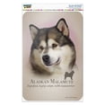 thumbnail image 1 of Alaskan Malamute Dog Breed Home Business Office Sign, 1 of 4