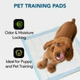 thumbnail image 7 of Proheal Disposable Light Absorbent Underpads (150 Pack) 23" x 36" - Incontinence Chux Bed Pads, 7 of 7