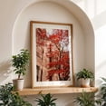 thumbnail image 5 of Dupont Circle Maple - Washington District of Columbia Photography Autumn Architecture City Botanical Vintage Scenic Unframed Wall Art Print 20 x 30 inches, 5 of 60
