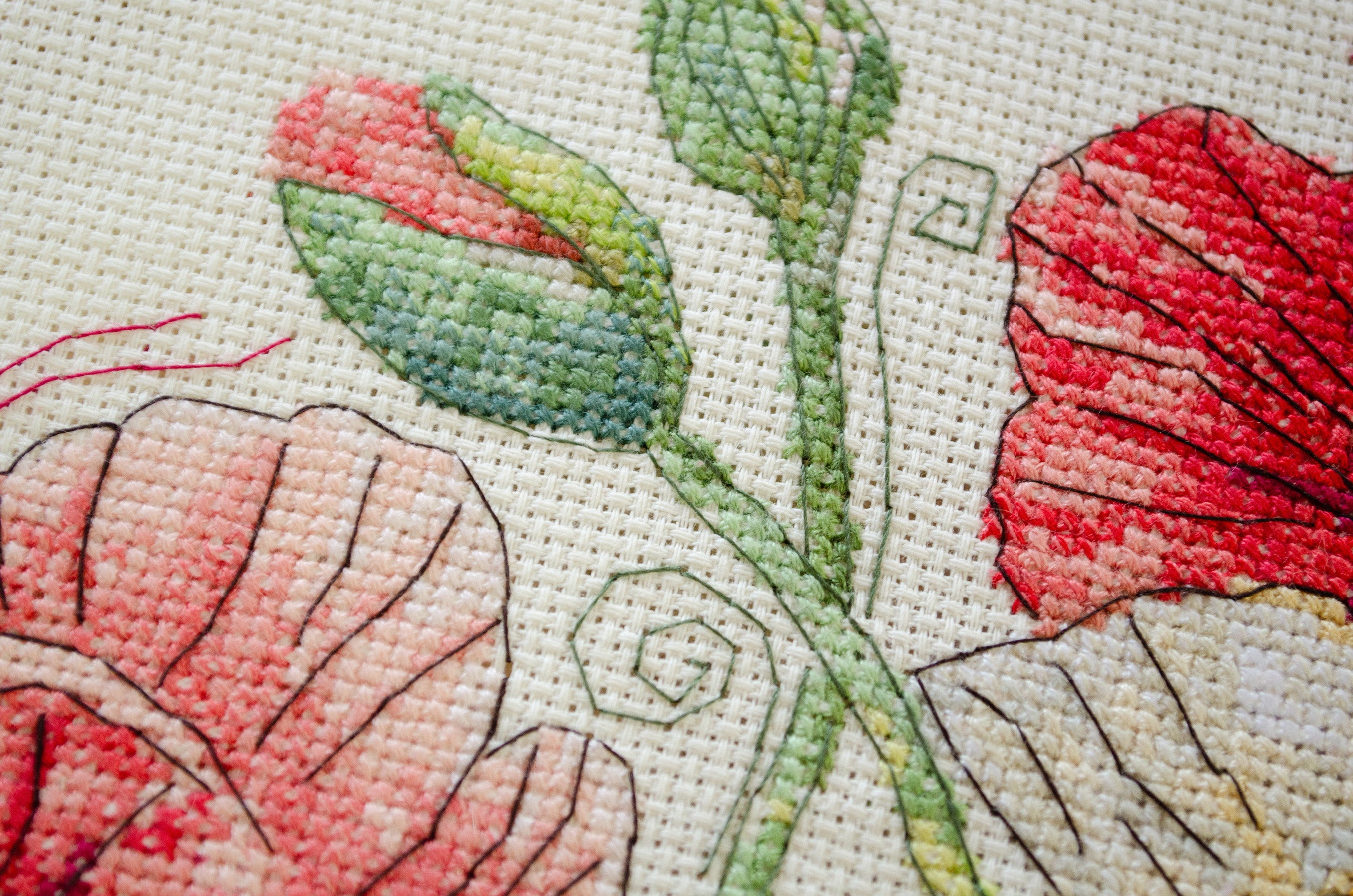 Counted Cross-stitch kit - When Poppies Bloom AH-299