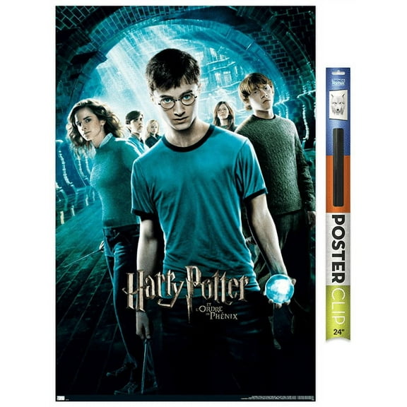 Harry Potter and the Order of the Phoenix - One Sheet (French Version) Wall Poster, 22.375" x 34"