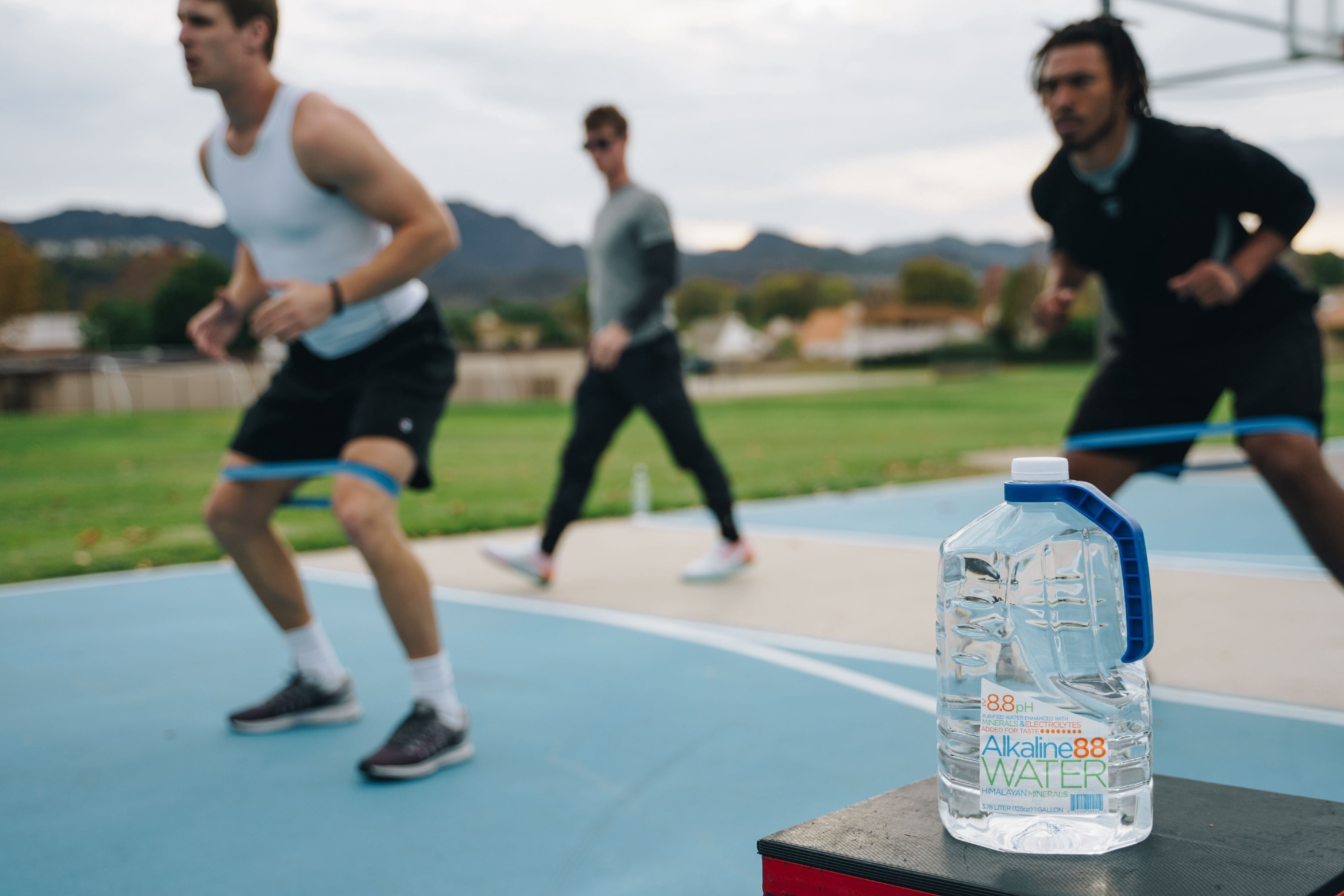 Alkaline88 Purified Water, Enhanced with Electrolytes and Minerals - 500ML (24 Count)