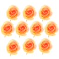 thumbnail image 1 of 10 cabezas de flores de rosas Cabezas de rosas artificiales para la decoración de en hogar champán, 1 of 9