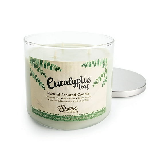 Eucalyptus Leaf Scented 3 Wick Candle - All Natural - Made with 100% Responsibly Sourced Soy and Essential Fragrance Oils - Phthalate & Paraffin Free, Vegan, Non-Toxic