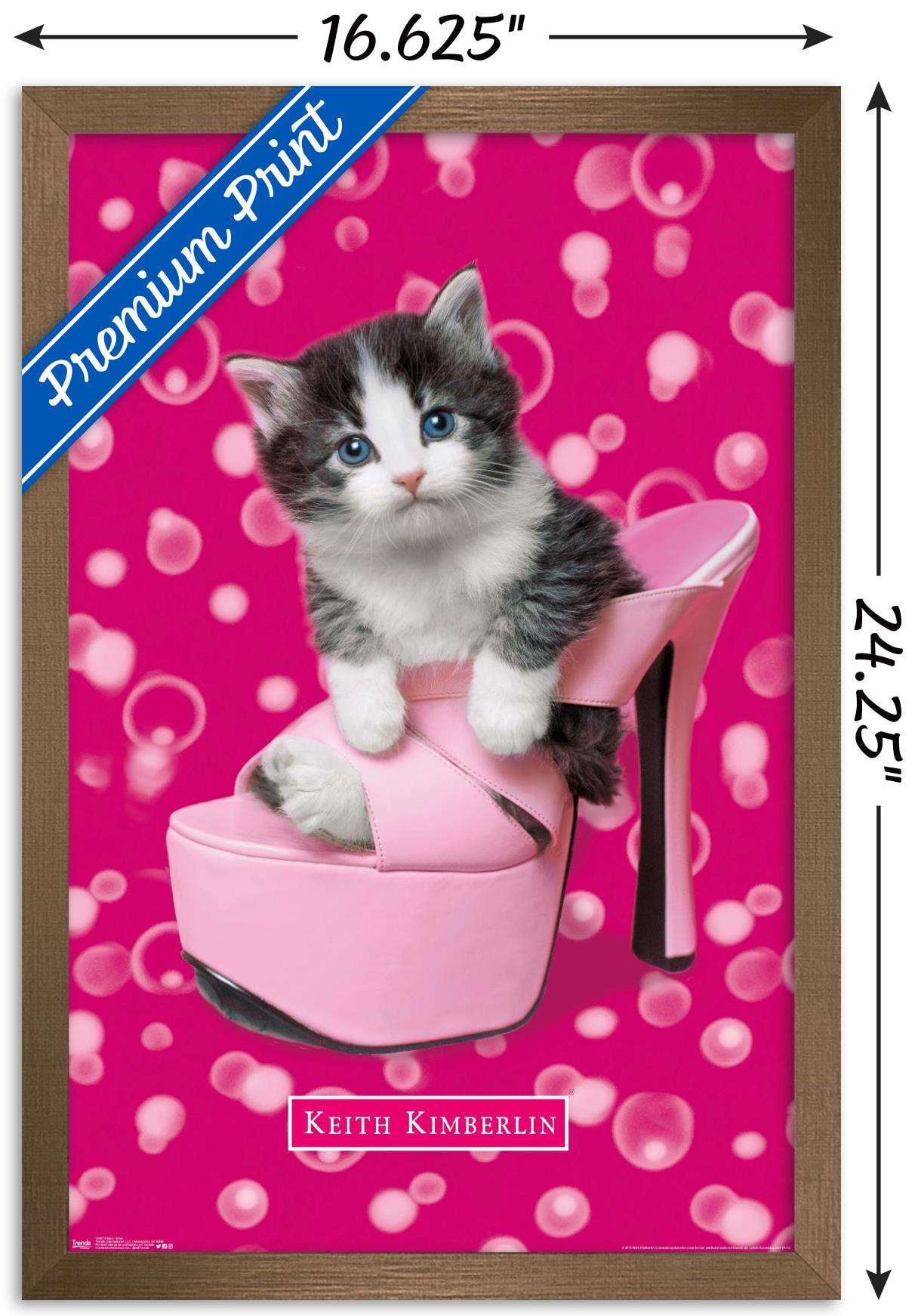 Keith Kimberlin - Kitten - Shoe Wall Poster, 14.725" x 22.375", Framed