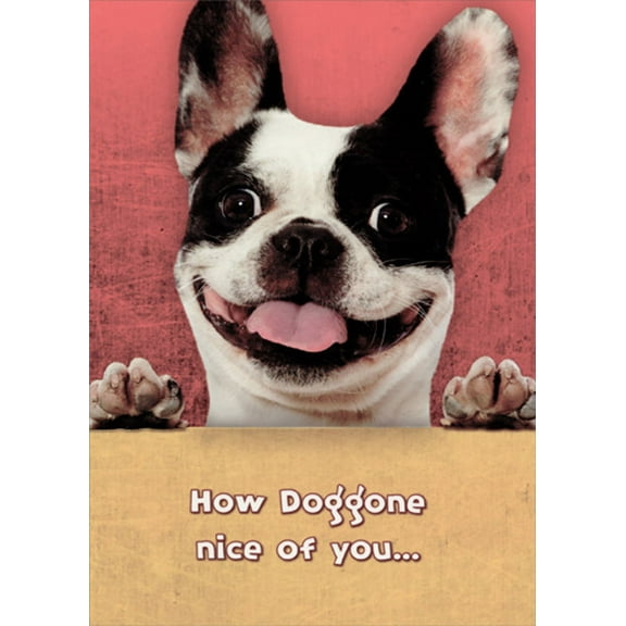 Designer Greetings Doggone Nice of You Funny / Humorous Thank You Card