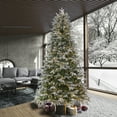 thumbnail image 5 of Vickerman 692691 - 14' x 73" Frosted Slim Douglas Fir Unlit Christmas Tree (K224595), 5 of 11