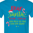 thumbnail image 4 of Inktastic Christmas Dear, Santa Before I Explain How Much Do You Know? T-Shirt, 4 of 5