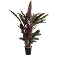 thumbnail image 2 of Planta varios modelos 1 pieza, 2 of 4