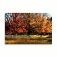 thumbnail image 2 of Gango Home Decor Autumn in the Fields by Alan Hausenflock (Printed on Paper); One 36x24in Fine Art Paper Giclee Print, 2 of 4