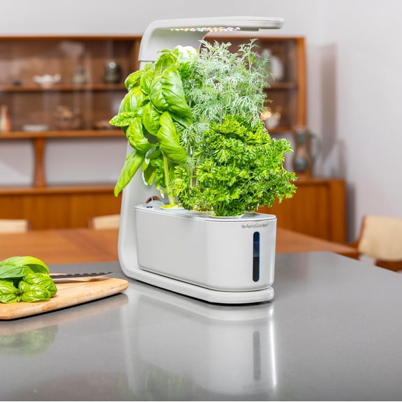 Sprout with Gourmet Herb Seed Pod Kit - Indoor Garden with LED Grow Light, Cool Gray