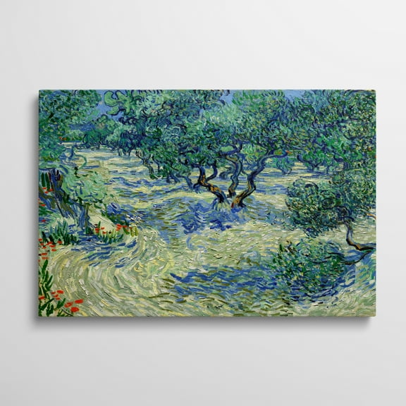 Canvas Gallery Wrap - Olive Orchard