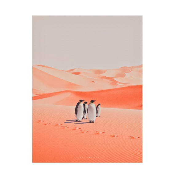 Trademark Fine Art spacerocket art 254 Canvas Wall Art