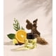 thumbnail image 4 of Perfume Bottega Veneta Illusione EDT 50 ml para hombre, 4 of 4