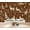 Color 3, variant on Whimsical Fox Pheasant hunting Wallpaper Sunsets Waterways Autumn Peel and Stick Wall Murals 69"H x 96"W Removable PVC Wall Paper Self-Adhesive Wall Decor for Bedroom Living Room