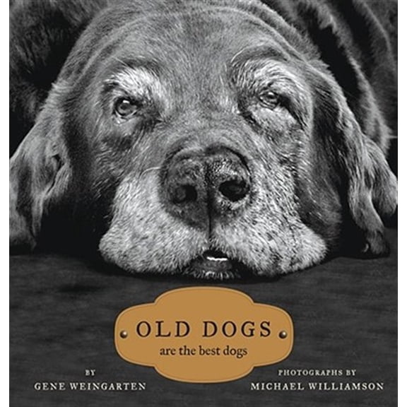 Pre-Owned Old Dogs: Are the Best Dogs (Hardcover) 1416534997 9781416534990