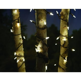 Hampton bay led string lights 48 ft deals