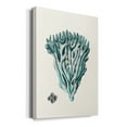 thumbnail image 2 of Antique Coastal Coral X Premium Gallery Wrapped Canvas - Ready to Hang, 2 of 9