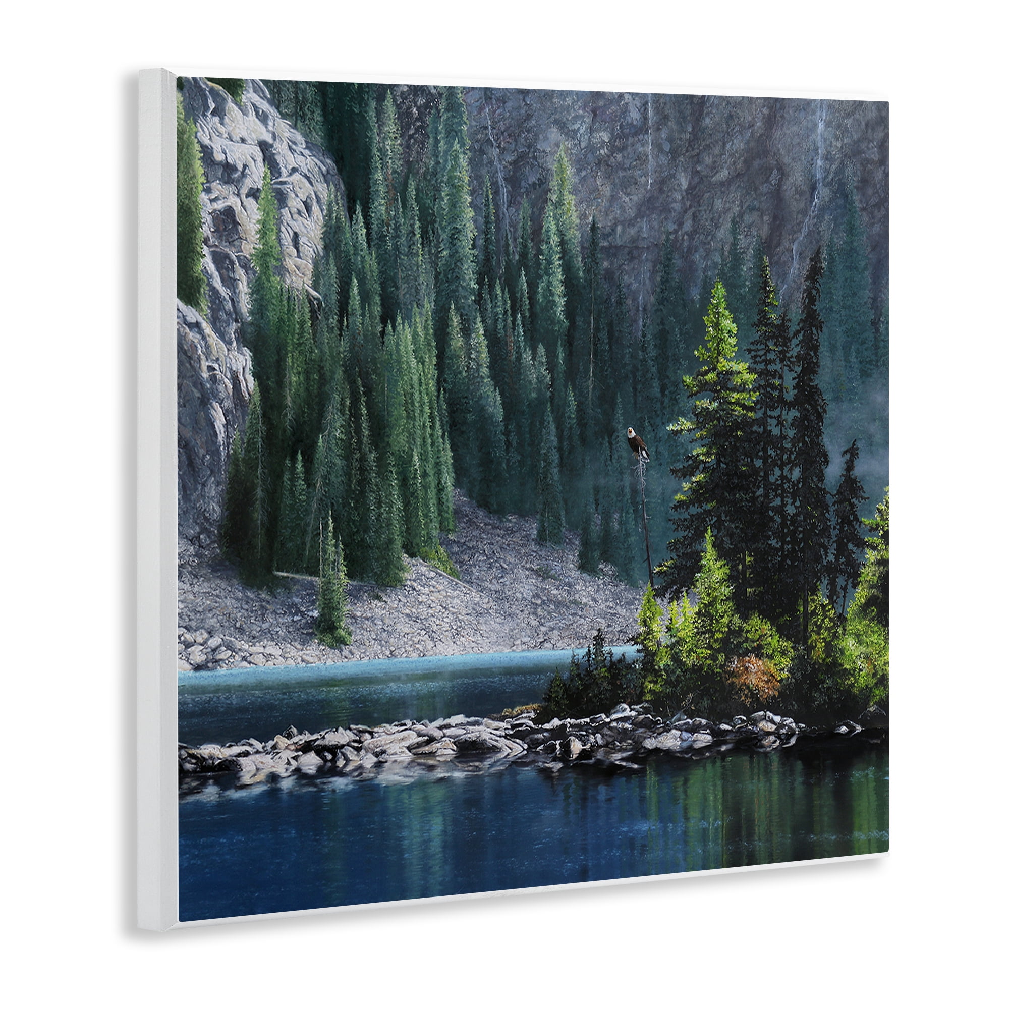 Stupell Industries Tree Spires in Nature Landscape & Nature Photography Unframed Art Print Wall Art, 12 x 12