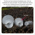 thumbnail image 4 of Maytalsory 3piece Breathable Planter For Plants Extra Thick And Safe Water-draining Drainage Container Planter Transparent Color 1Set, 4 of 6