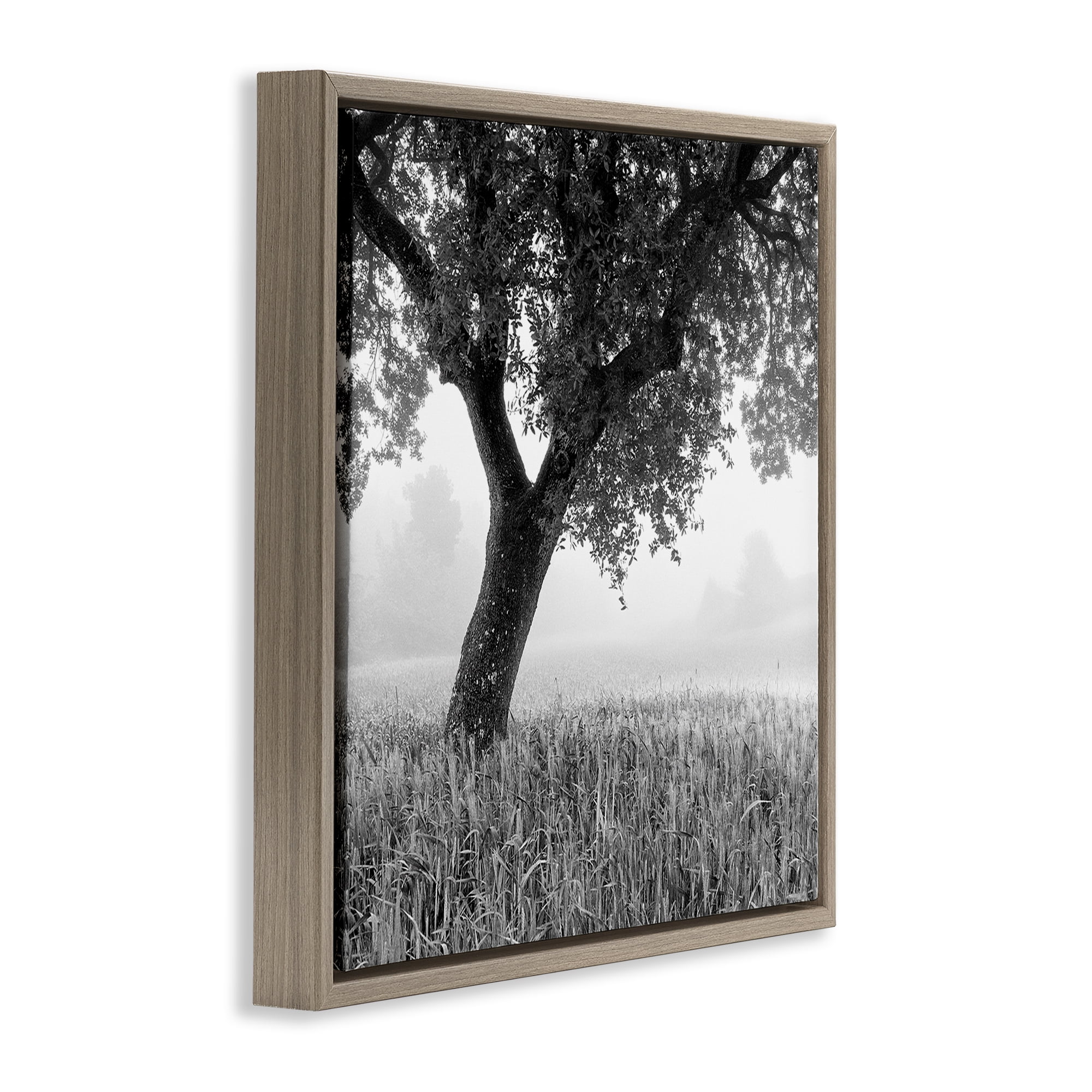 Stupell Industries Tuscan Morning Scenery Landscape & Nature Photography Brown Floater Framed Canvas Art Print Wall Art, 18 x 18