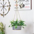 thumbnail image 5 of Cheungs 5024S 1 lbs Round Galvanized Metal Rope Hanging Metal Planter, 5 of 5