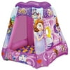 Disney Sofia Princess In Training Playland