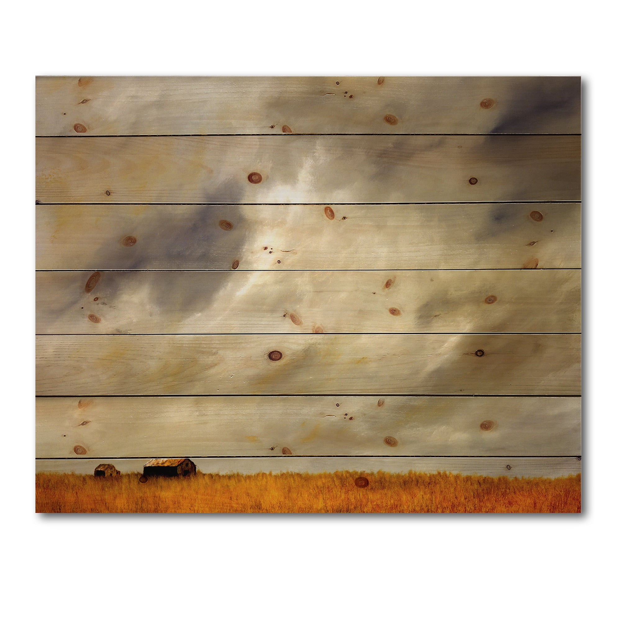 Designart 'Desert Farmhouse Under Cloudy Sky I' Farmhouse Print on Natural Pine Wood