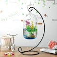 thumbnail image 2 of Bouteille d'Infusion pour Aquarium en Verre Transparent Suspendu 15cm, 2 of 3